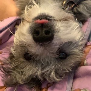 Meet your Posher, Jack